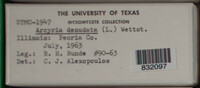 Image Associated With the Occurence